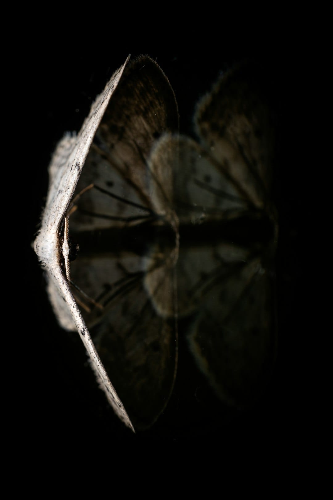 Article image by Jurjen Vos