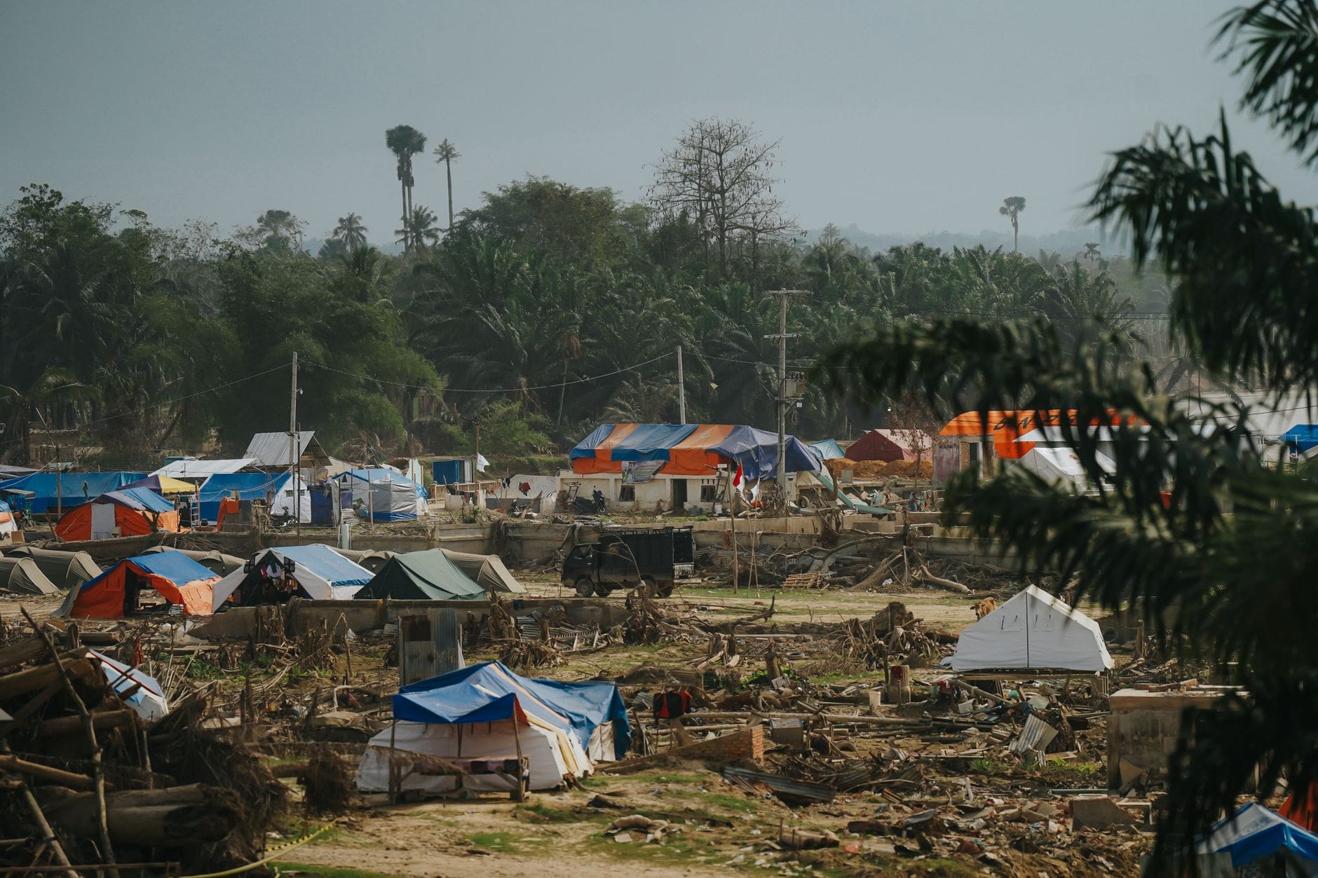 Article image by el jusuf
