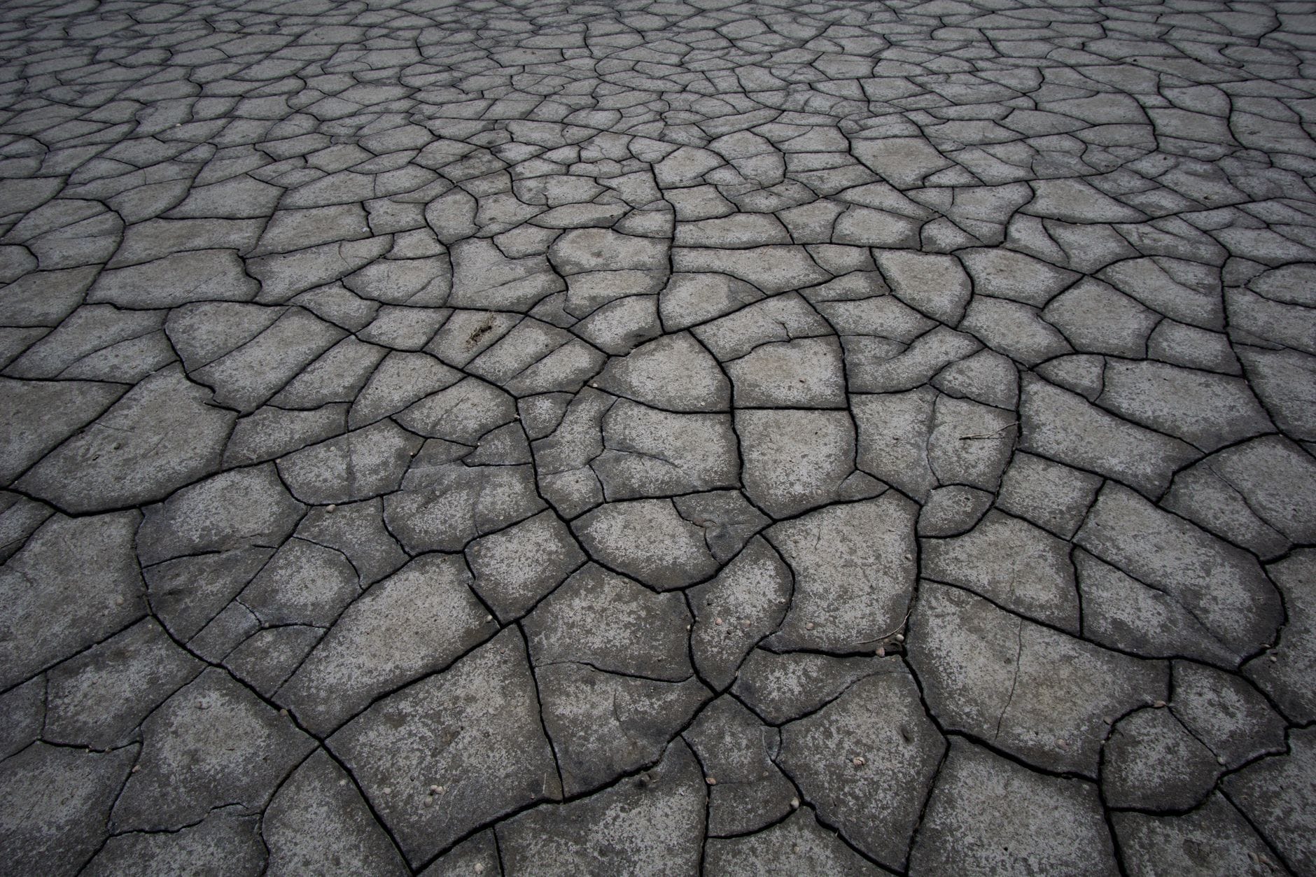 Article image by Denis Tuev