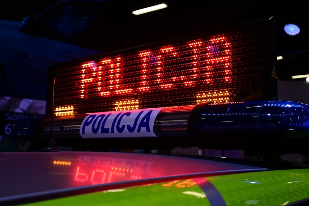 Article image by Daniel Silva