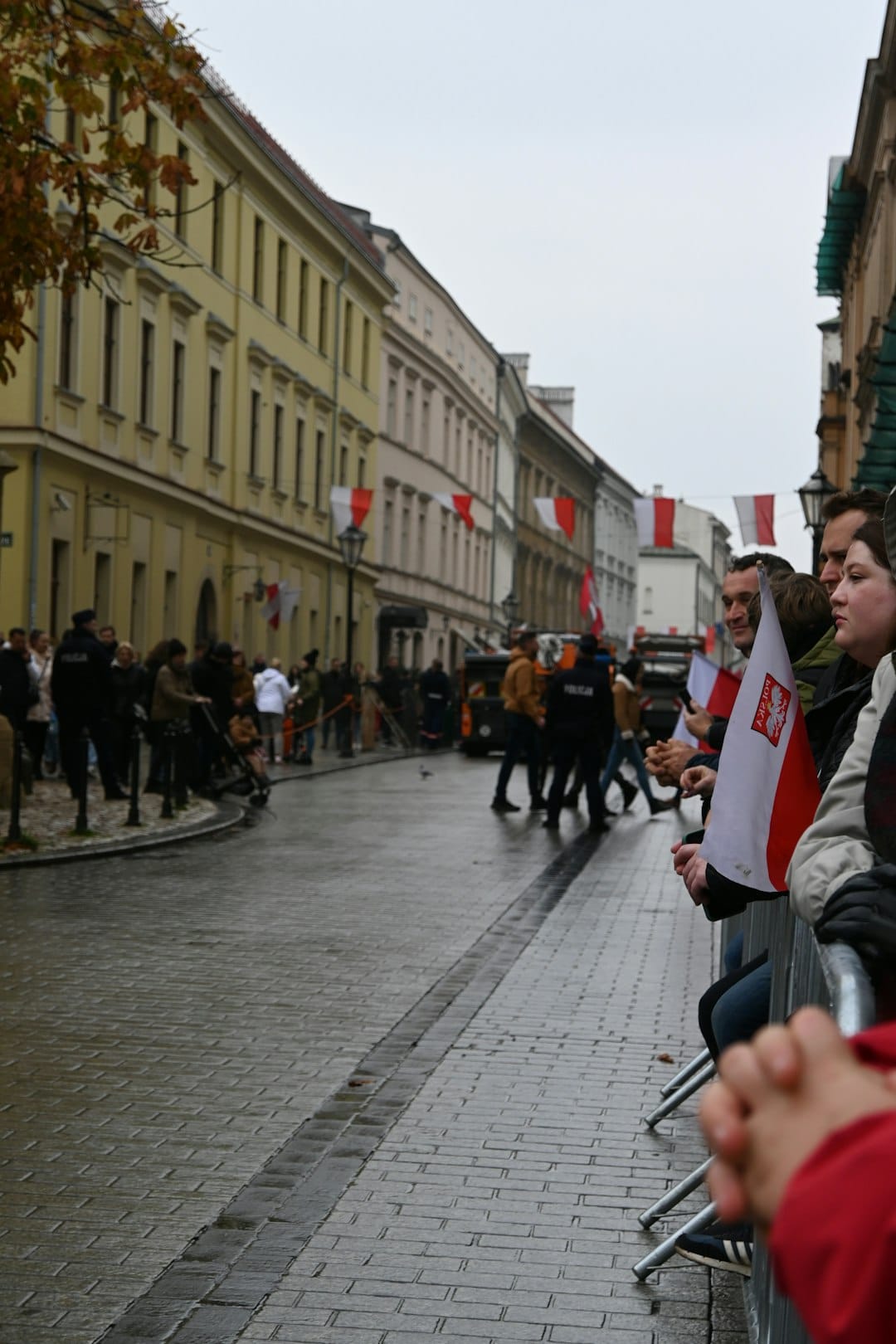 Article image by Daniel Silva