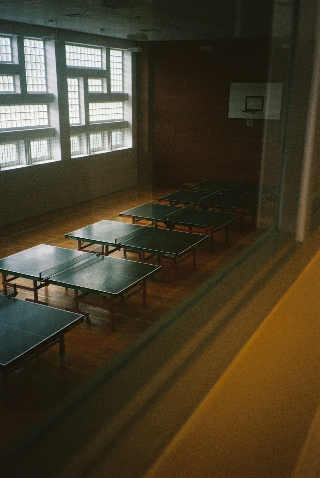 Article image by Maximilian Bungart