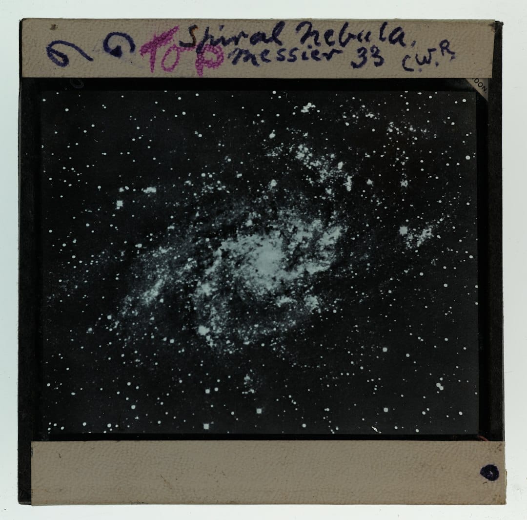Article image by Auckland War Memorial Museum Tāmaki Paenga Hira