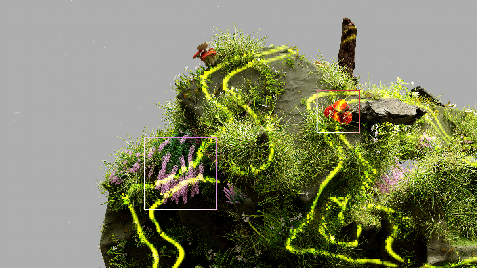 Article image by Google DeepMind
