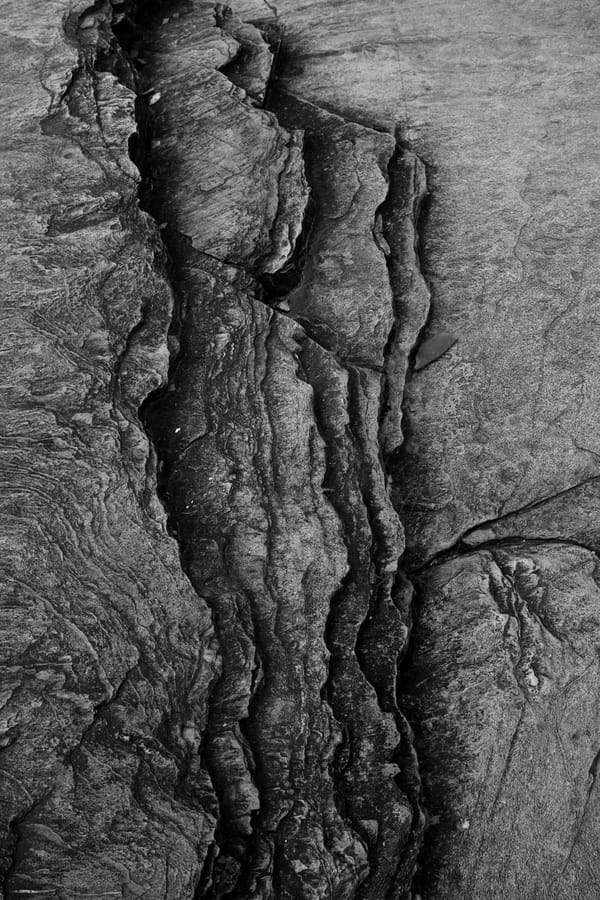 180 Million Year Old Microbial Mats Found in Deep Sea Turbidites: What This Means for the Search for Life Beyond Earth