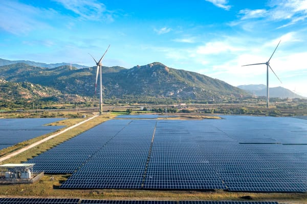 75% of Carbon Credits Blocked: What China and India’s Bold Move Means for Your Climate Strategy