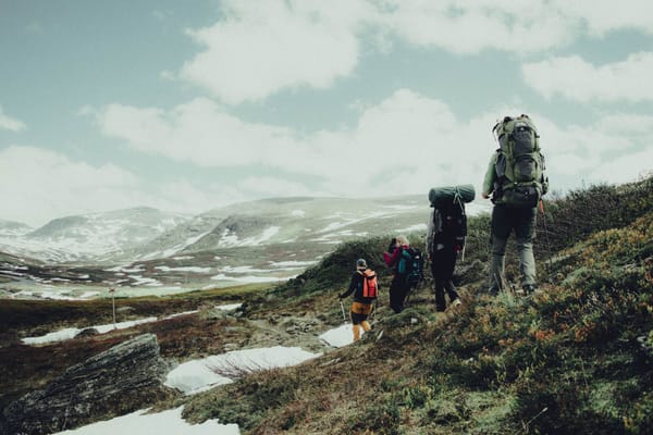 How Many Countries Have You Visited? The UK Just Won a Global Travel Challenge Inspired by David Attenborough