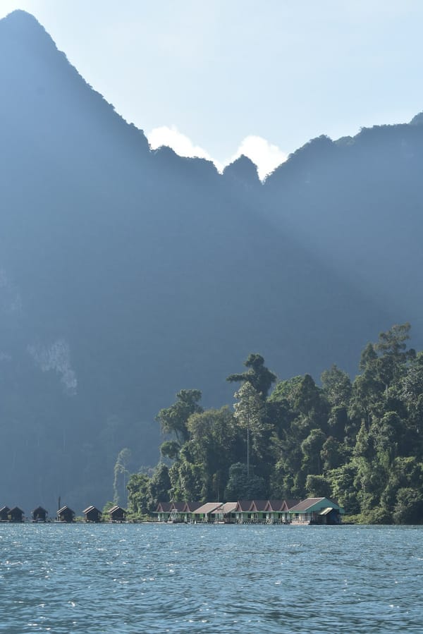 7 Years of Rewilding: How a 19-Key Ecolodge in Thailand Is Restoring Rainforests and Winning Top Awards