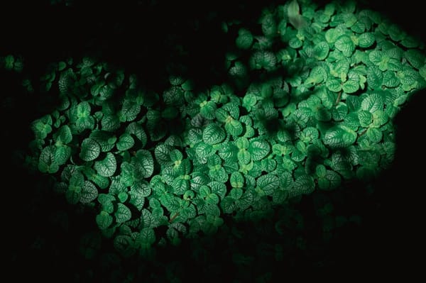 30 Years Later: Scientists Finally Identify Rye Pollen Molecules That Slow Tumors – What This Means for Cancer Therapy