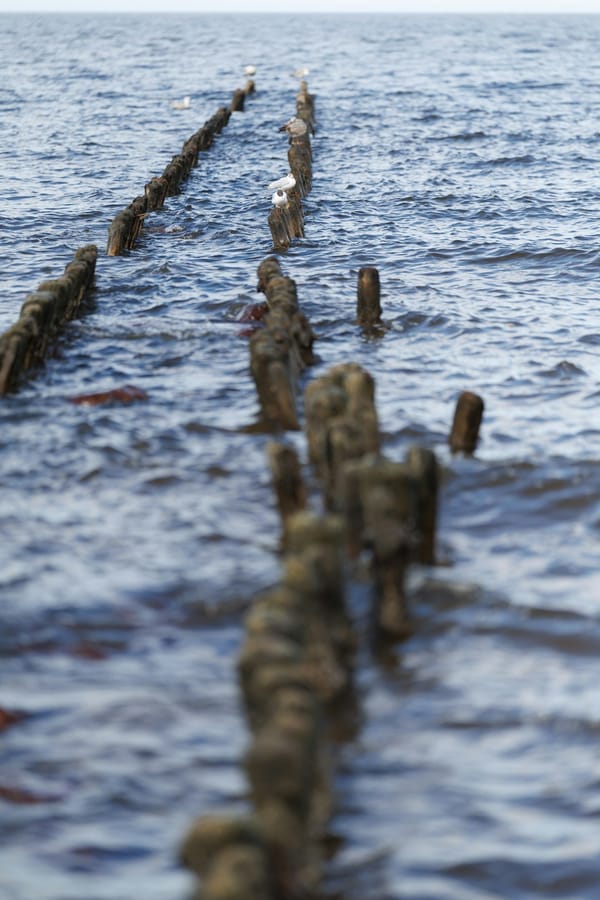 Nord Stream Sabotage: New Charges Against Ukrainian Operative Could Force Germany to Rethink €15 Billion in Military Aid