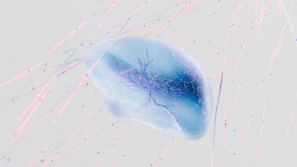 Your Brain’s Craving Center: How Ozempic Helped Researchers Find It