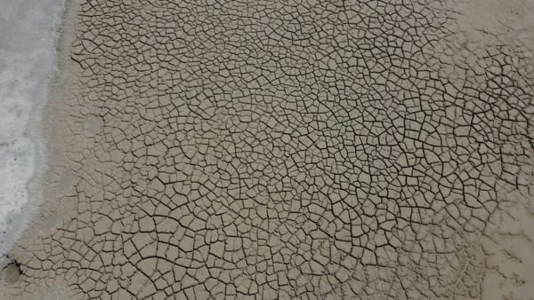 COP17 Mongolia: The Desertification Summit Deciding Your Food and Water Future