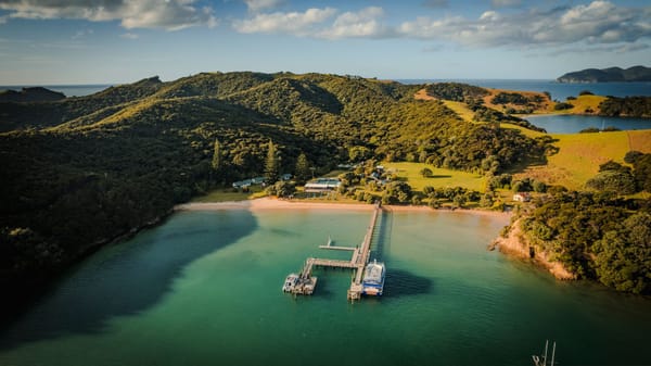 Wealthy Californians Are Flocking to New Zealand's Golden Visas: Here's What's Driving the Rush