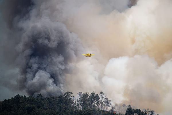 Canada Wildfire Doubles Overnight: What You Need to Know About 12,000 Evacuees in British Columbia