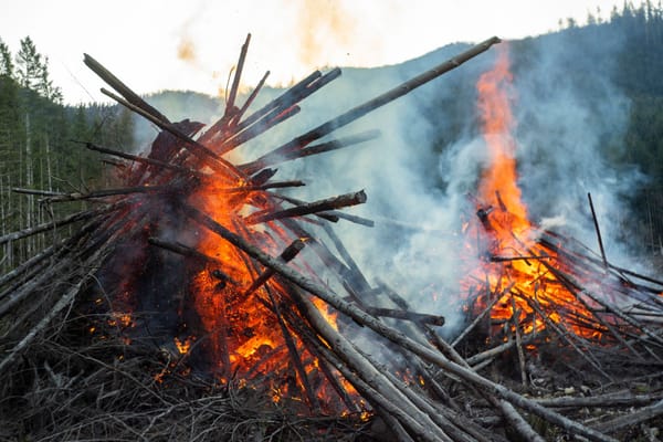 Bald Range Fire Doubles in Size: 20,000 Evacuate in British Columbia. Here’s What You Must Know