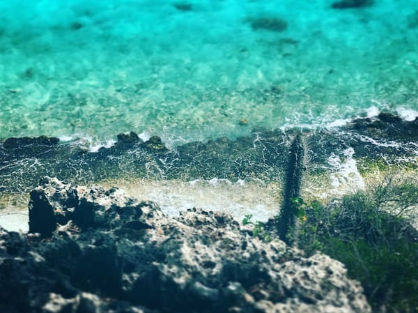 Caribbean Drought Crisis: What El Niño and Climate Change Mean for Your Water Future