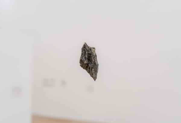 A Meteorite Crashed Through a New Jersey Home. Here's What Its Ancient Salty Water Means for Life's Origins