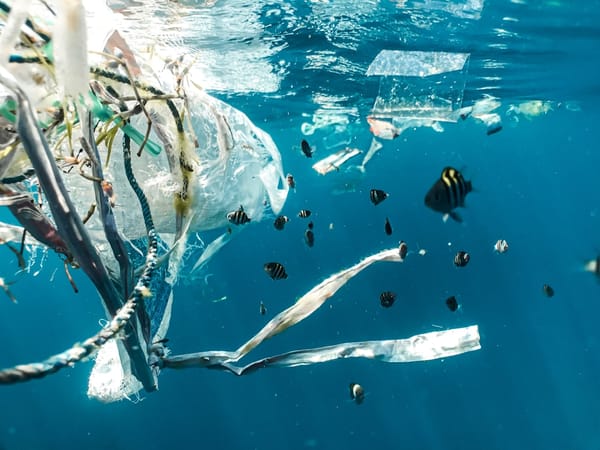 Plastics Treaty Draft Leaves Out Production Cuts: What It Means for You and the Planet