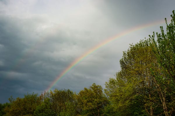 New Jersey Sky: Witnessing Supernumerary Rainbows and the Wave Nature of Light
