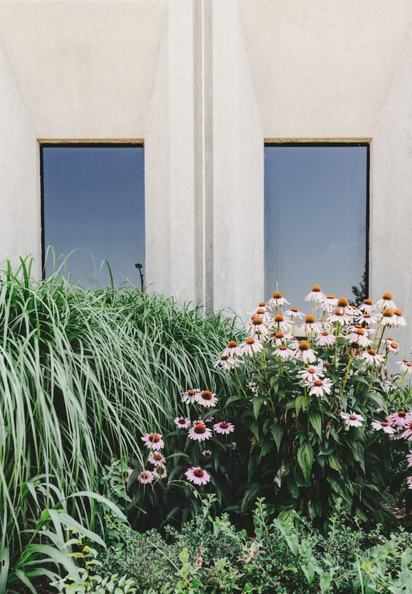 How TERREMOTO’s Omni-Positive Gardens Are Rewriting the Rules of Ecological Design