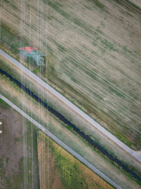 How AI-Driven RIS on High-Altitude Platforms Boosts Energy Efficiency for IoT
